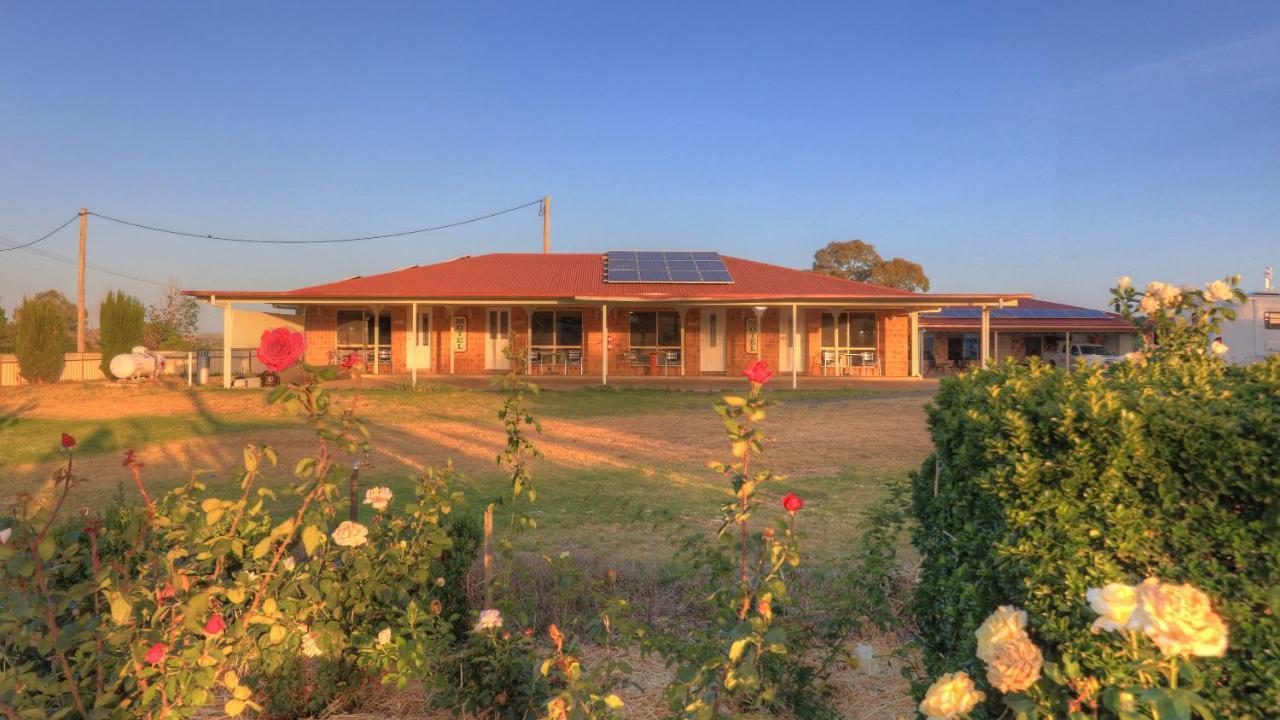 Golfers Inn Tenterfield Extérieur photo